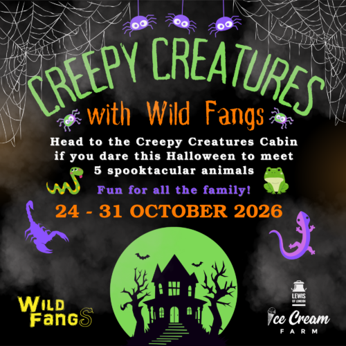 Creepy Creatures flyer 2026 square (website)